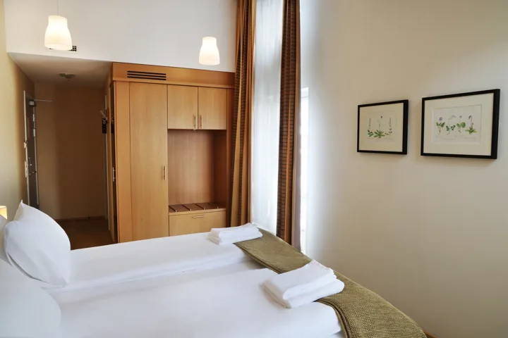 Hotel Reykjavik Centrum Deluxe Room 