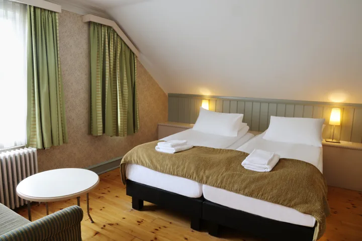 Hotel Reykjavík Centrum Deluxe Room 
