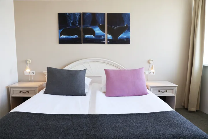 Fosshotel Húsavík Economy Double or Twin Room 