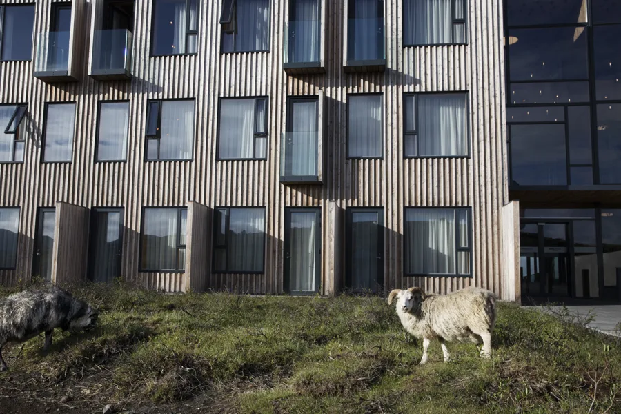 Fosshotel Myvatn External 