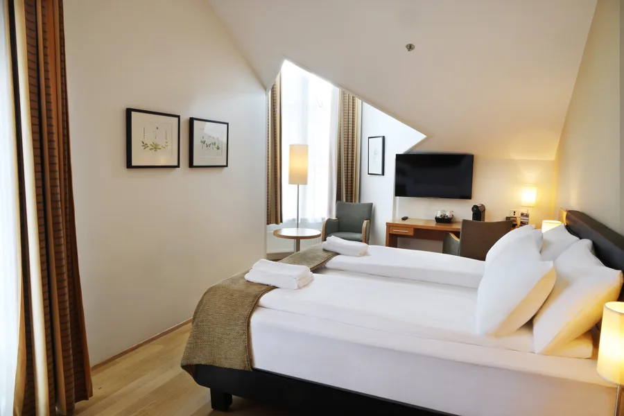Hotel Reykjavík Centrum  Deluxe Room 