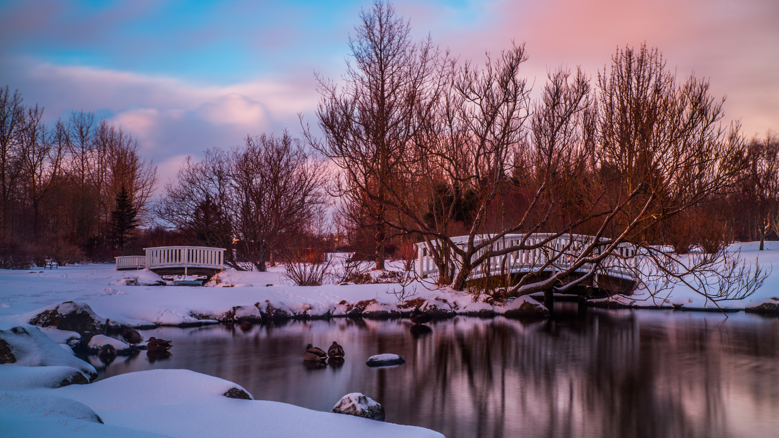A snow-covered park in Reykjavík in the winter.