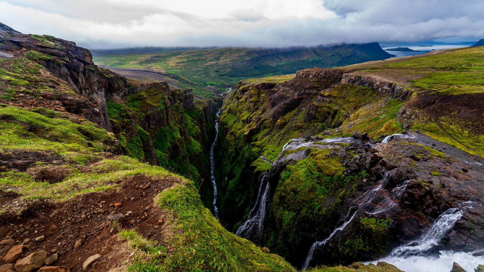 Views from the top of Glymur over mossy mountains.